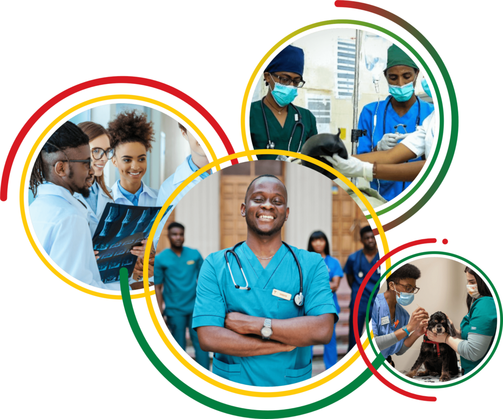 HwSeta Opportunities and Applications