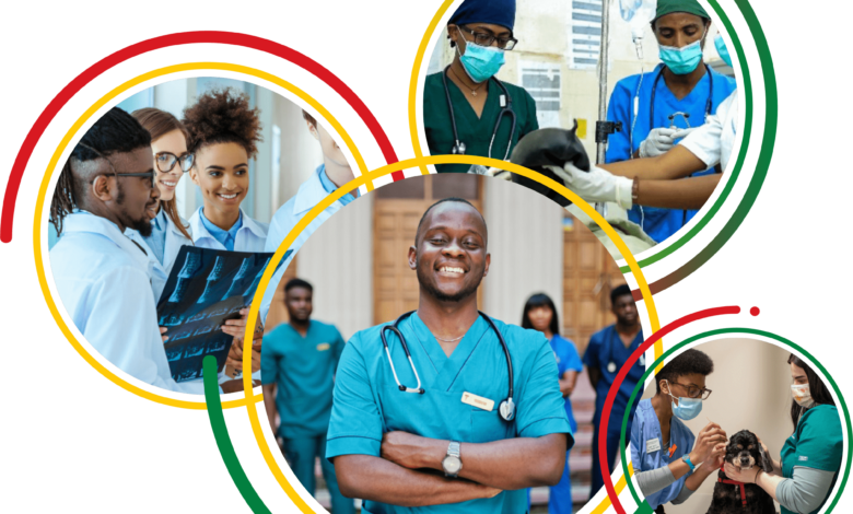 HwSeta Opportunities and Applications