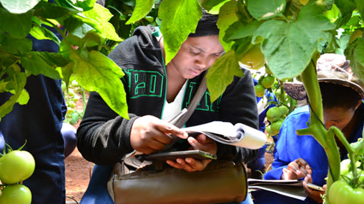 Learnerships at AgriSeta