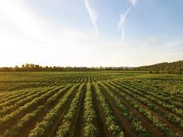Agricultural Qualifications at Agriseta