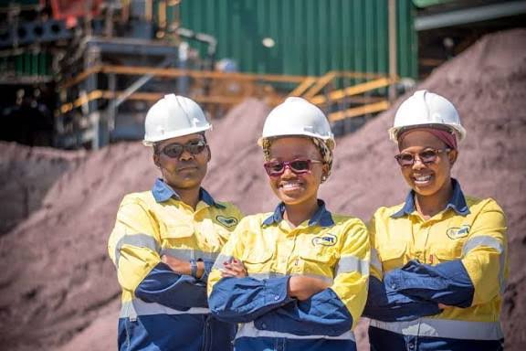 Stibium Work Experience Programme