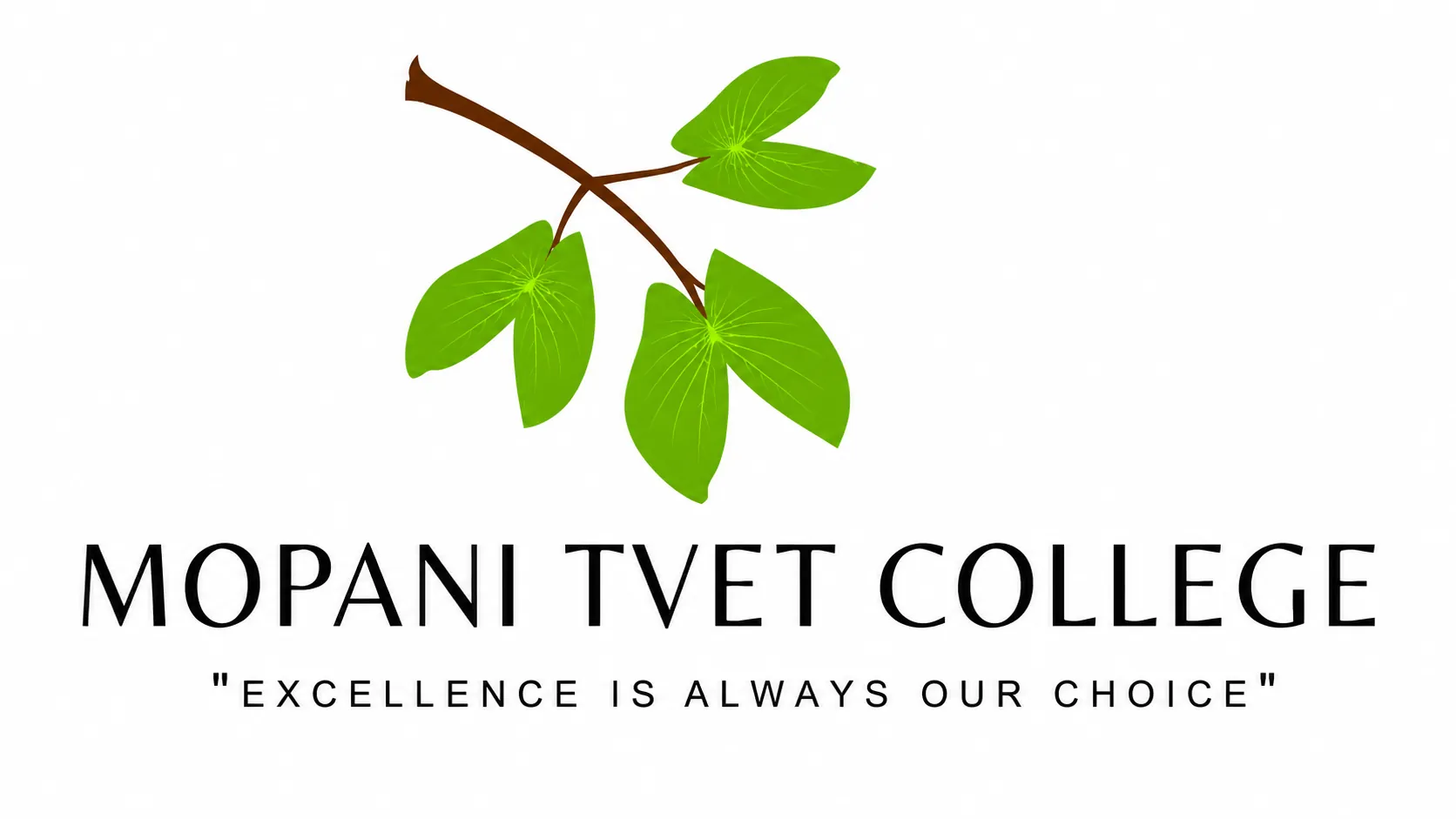 Professional Cookery